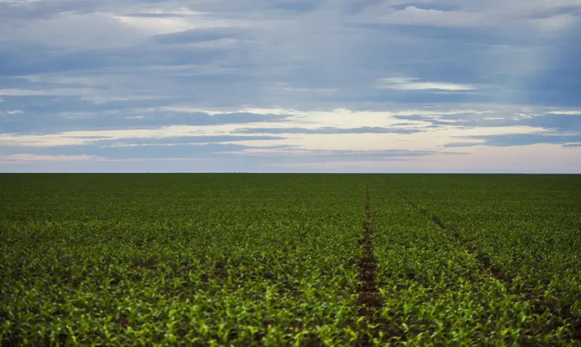 Seguro rural: parlamentares de MG e do PR cobram fortalecimento da política para dar previsibilidade ao agro