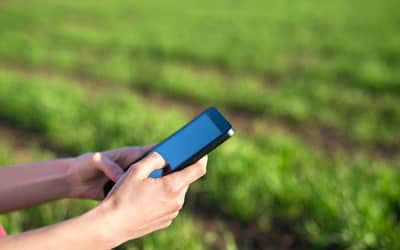 Expansão do 4G no campo: Pernambuco soma mais de 200 localidades conectadas