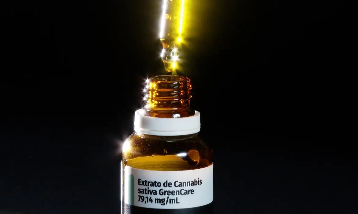 Autorizações para importação de cannabis medicinal aumentam 29% em 2026